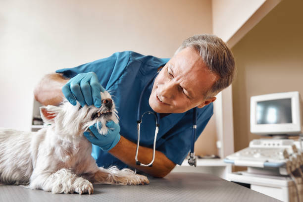 Best Emergency Dentist for Lost Fillings or Crowns in Broxton, GA